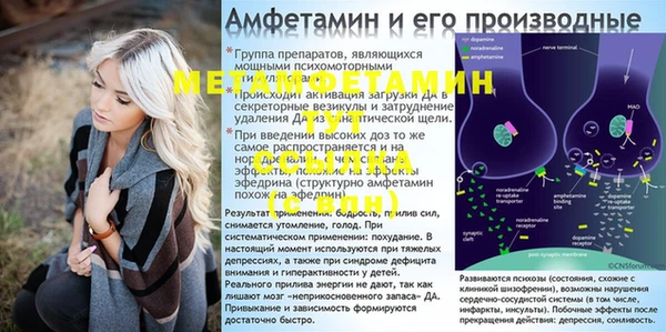 эйфоретик Аркадак