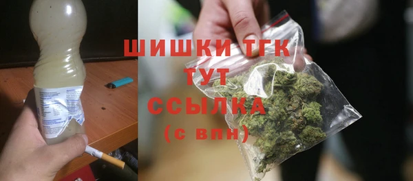 эйфоретик Аркадак