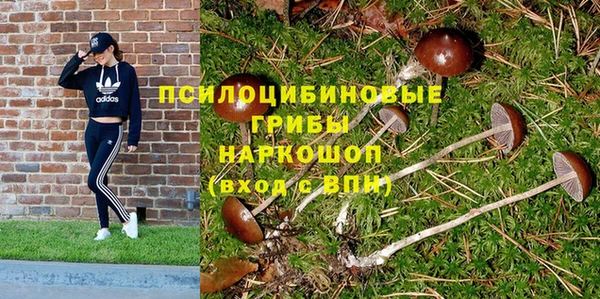 эйфоретик Аркадак
