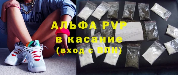 стаф Алзамай