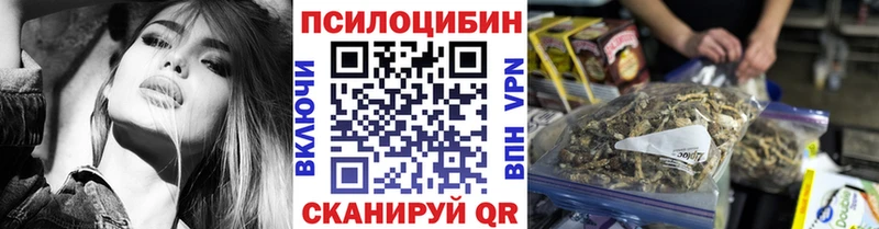 Галлюциногенные грибы Psilocybe  Щигры 